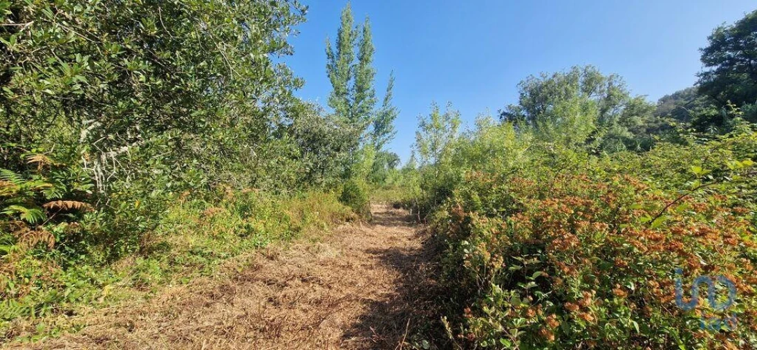 Terreno para Venda em Azueira e Sobral da Abelheira Foto 8