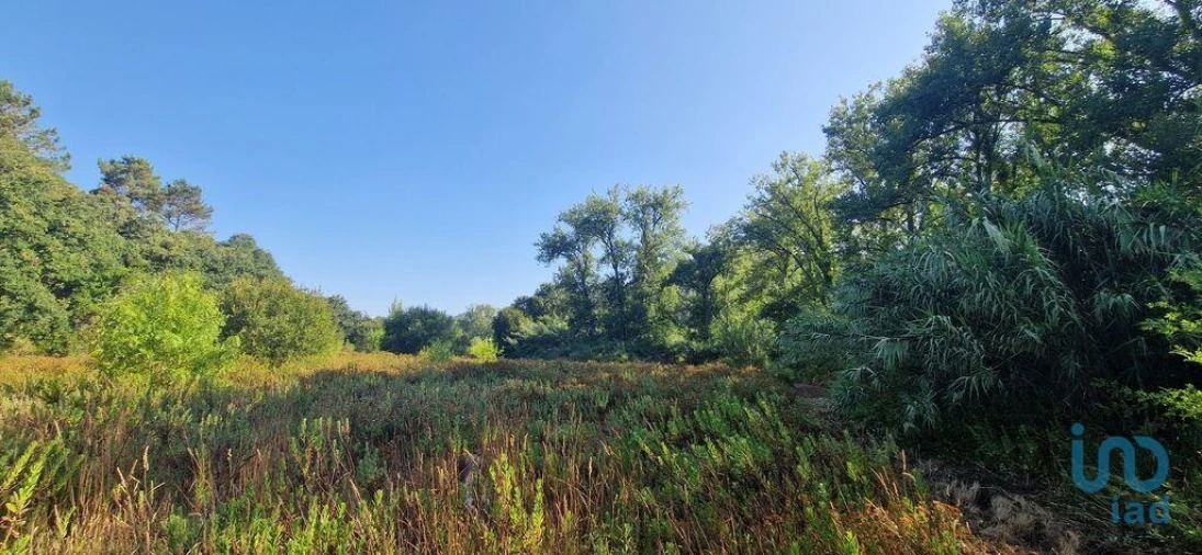 Terreno para Venda em Azueira e Sobral da Abelheira Foto 4