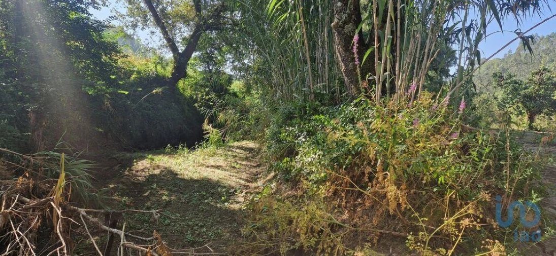 Terreno para Venda em Azueira e Sobral da Abelheira Foto 13