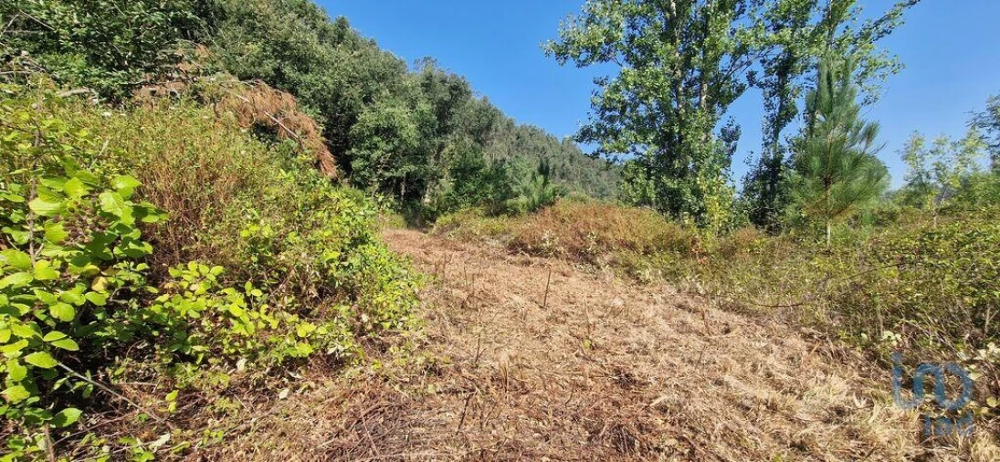 Terreno para Venda em Azueira e Sobral da Abelheira Foto 9