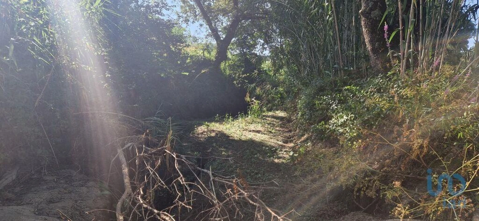Terreno para Venda em Azueira e Sobral da Abelheira Foto 14