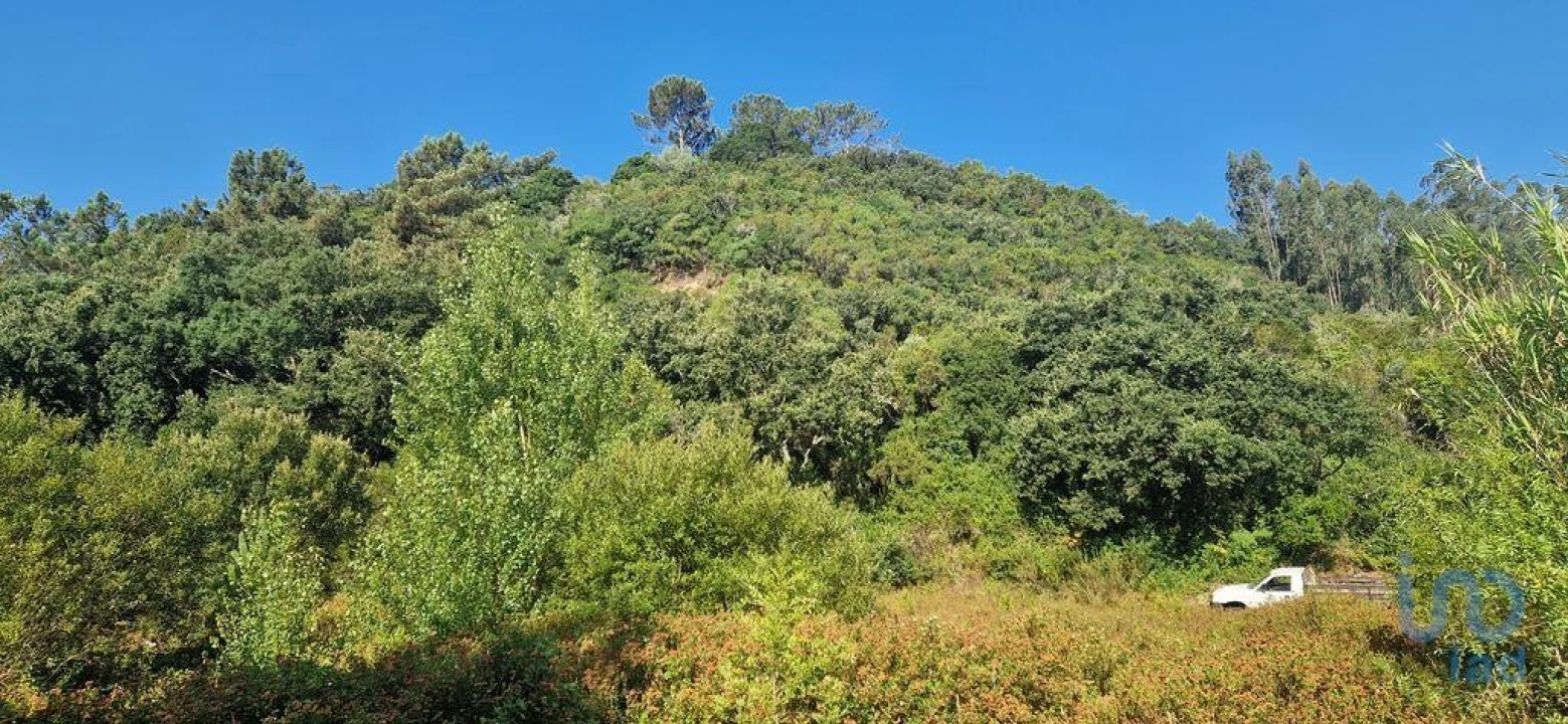 Terreno para Venda em Azueira e Sobral da Abelheira Foto 6