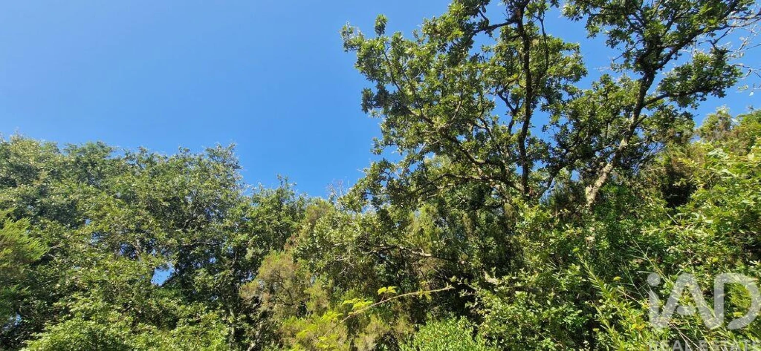 Terreno para Venda em Azueira e Sobral da Abelheira Foto 16