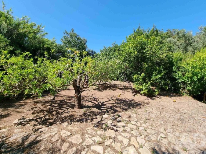 Moradia T4 para Venda em Turcifal Foto 28