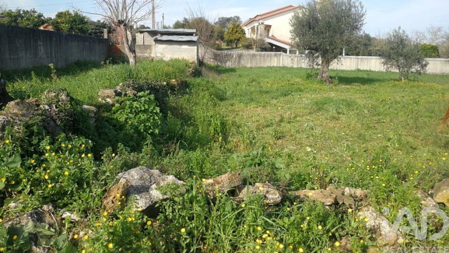 Terreno para Venda em Igreja Nova do Sobral Foto 20