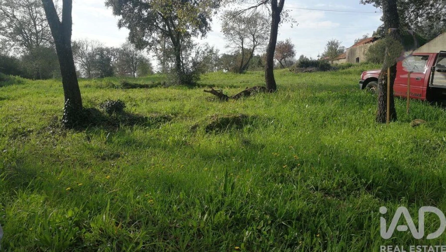Terreno para Venda em Igreja Nova do Sobral Foto 23