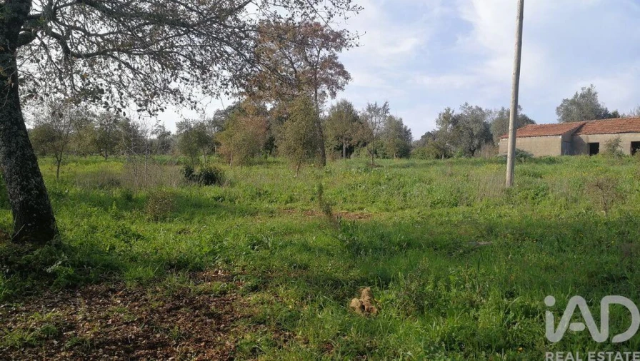 Terreno para Venda em Igreja Nova do Sobral Foto 17