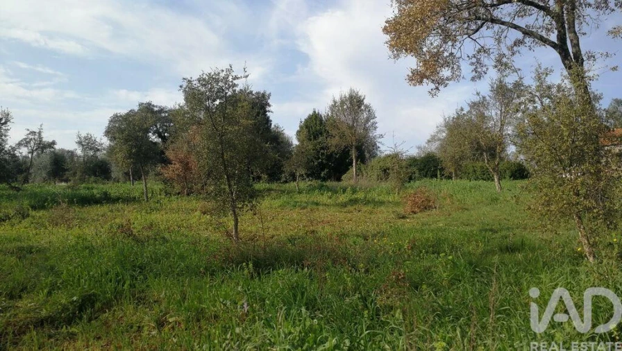 Terreno para Venda em Igreja Nova do Sobral Foto 24