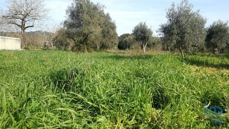 Terreno para Venda em Igreja Nova do Sobral Foto 5