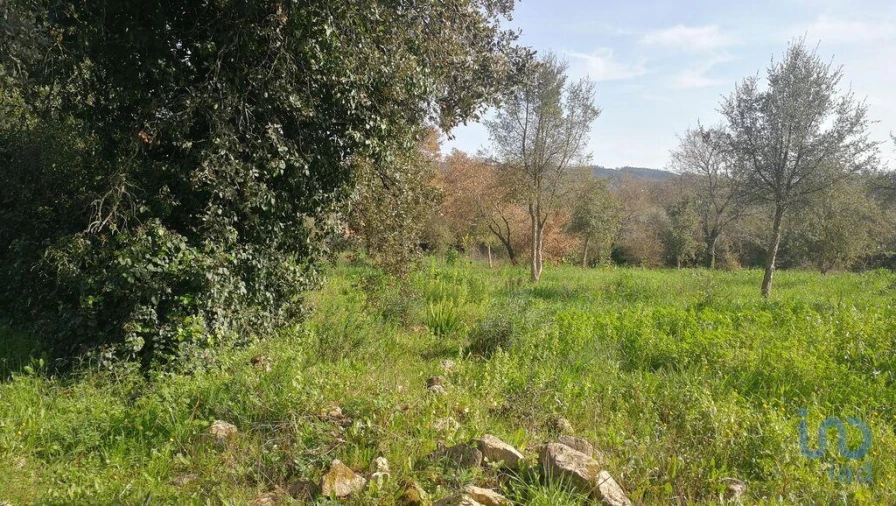 Terreno para Venda em Igreja Nova do Sobral Foto 13