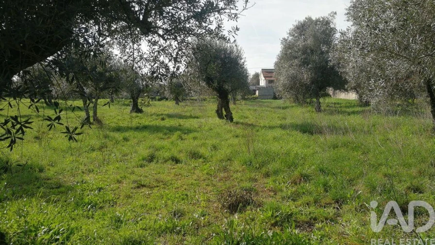 Terreno para Venda em Igreja Nova do Sobral Foto 26