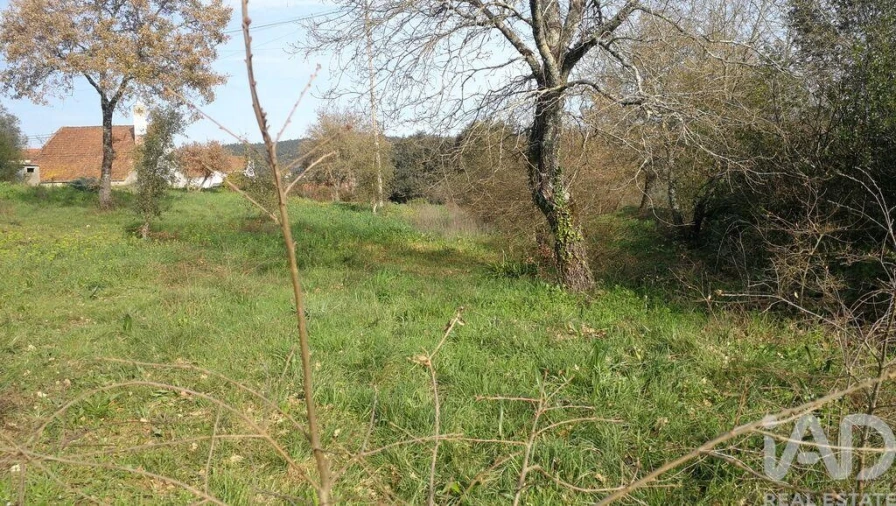 Terreno para Venda em Igreja Nova do Sobral Foto 22