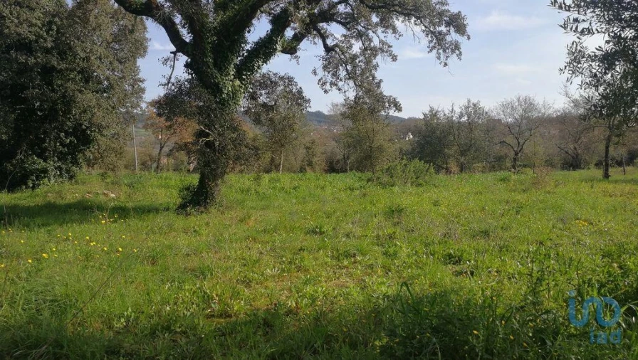 Terreno para Venda em Igreja Nova do Sobral Foto 3