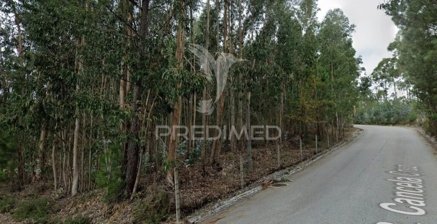 Terreno para Venda em Sandim, Olival, Lever e Crestuma Foto 5