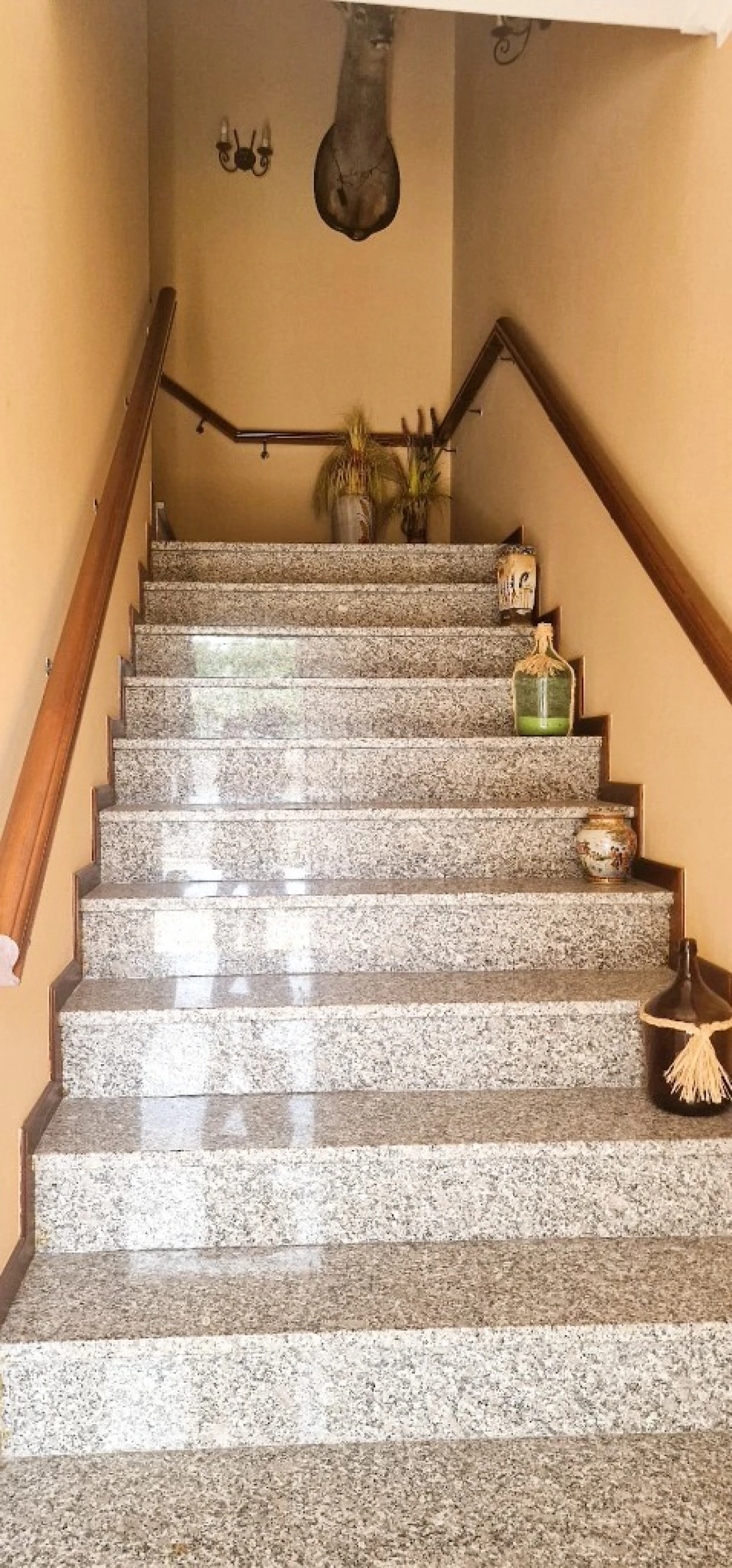 Moradia T4 para Venda em Tabuaças Foto 31