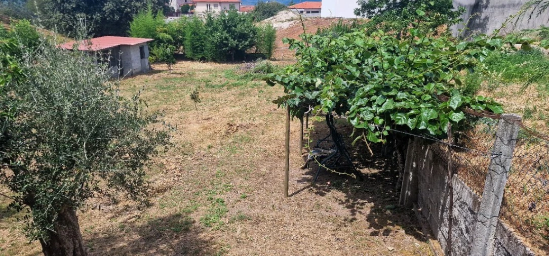 Moradia T4 para Venda em Tabuaças Foto 49