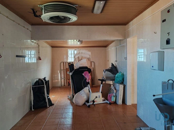 Loja para Venda em Ribeiras Foto 11