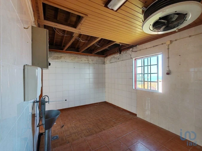 Loja para Venda em Ribeiras Foto 10