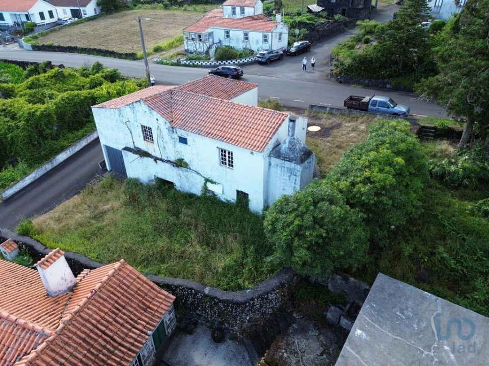Loja para Venda em Ribeiras Foto 5