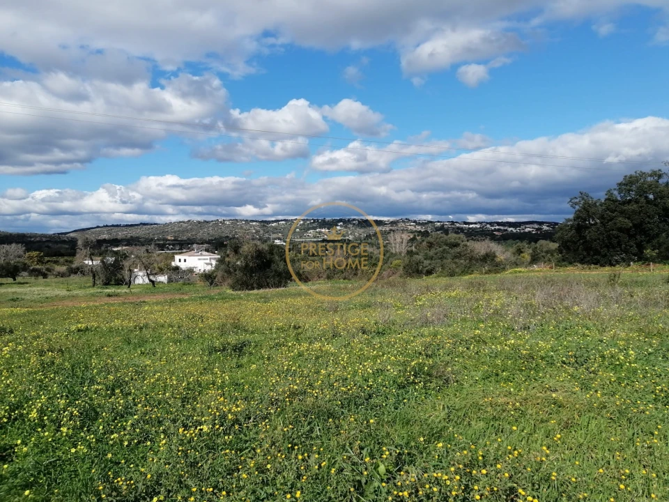Terreno para Venda em Boliqueime Foto 8
