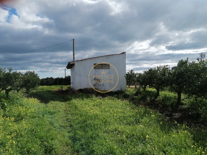 Terreno para Venda em Boliqueime Foto 2