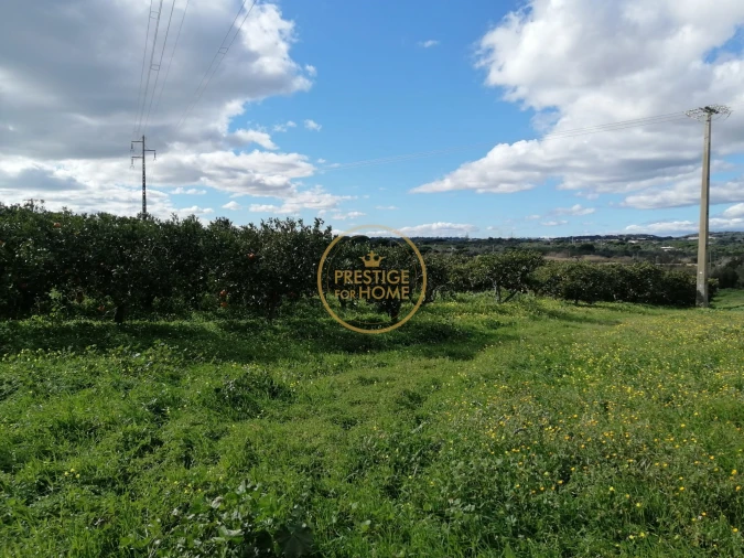 Terreno para Venda em Boliqueime Foto 4