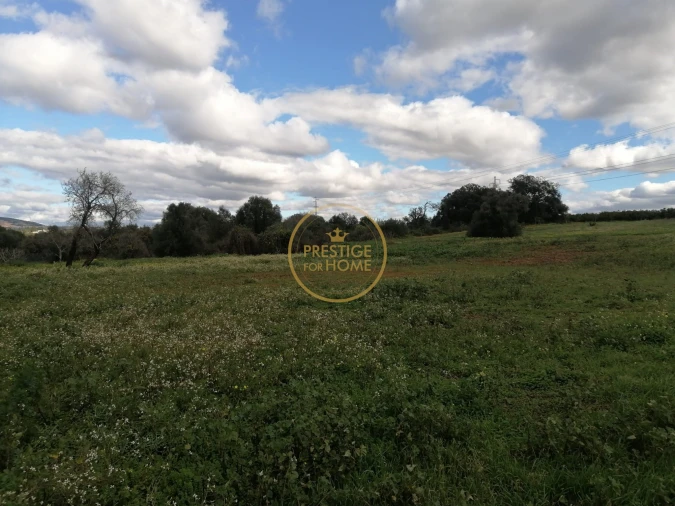 Terreno para Venda em Boliqueime Foto 5