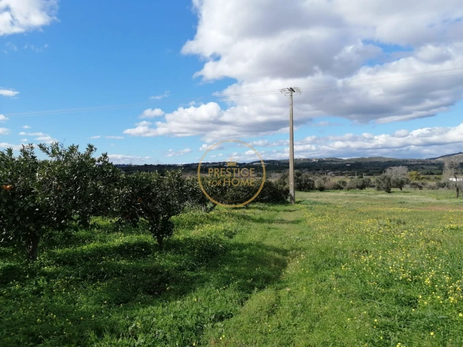 Terreno para Venda em Boliqueime Foto 14