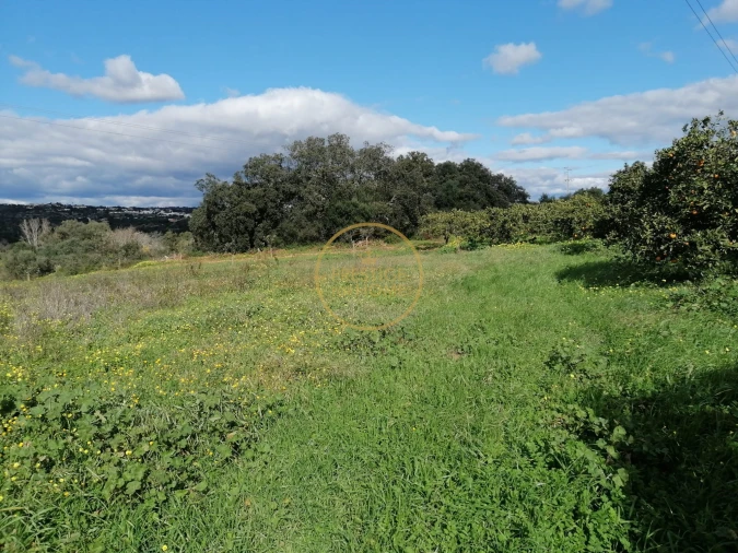Terreno para Venda em Boliqueime Foto 12