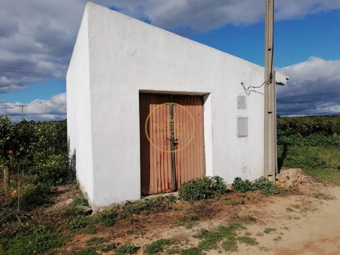 Terreno para Venda em Boliqueime Foto 10