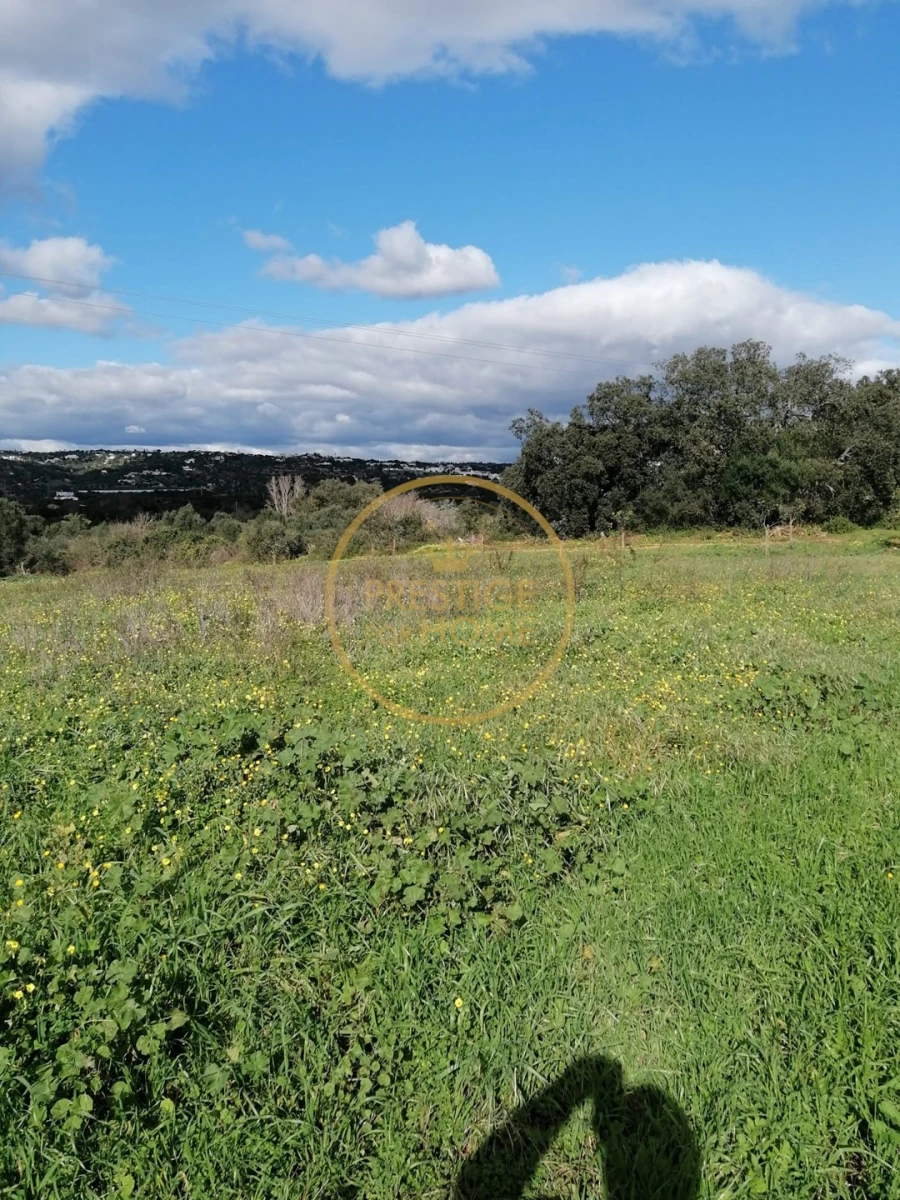 Terreno para Venda em Boliqueime Foto 15