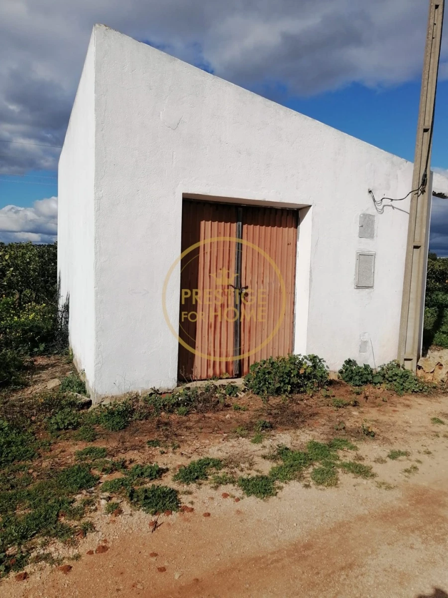 Terreno para Venda em Boliqueime Foto 13
