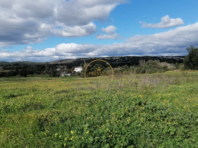 Terreno para Venda em Boliqueime Foto 16