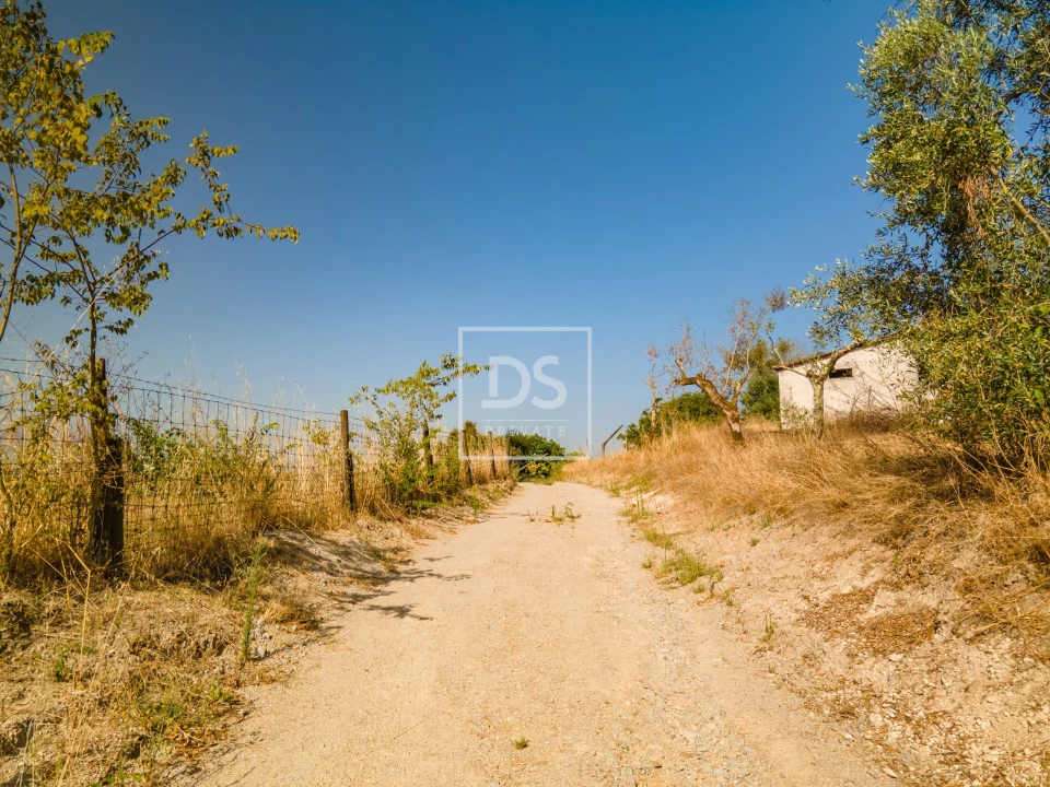 Terreno para Venda em Constance Foto 11