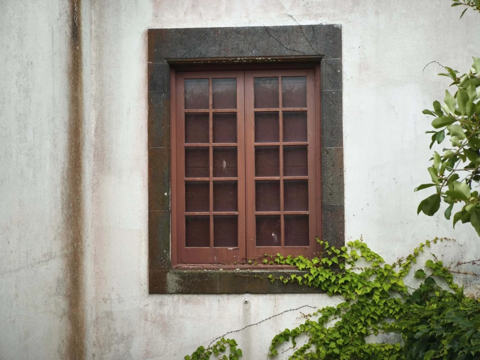 Quinta T8 para Venda em Lagoa (Nossa Senhora do Rosario) Foto 8