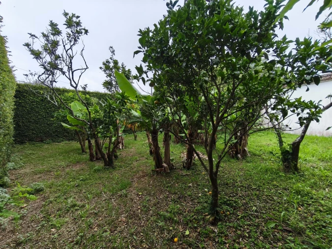 Quinta T8 para Venda em Lagoa (Nossa Senhora do Rosario) Foto 9