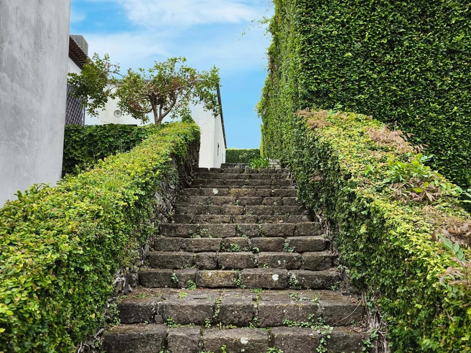 Quinta T8 para Venda em Lagoa (Nossa Senhora do Rosario) Foto 18