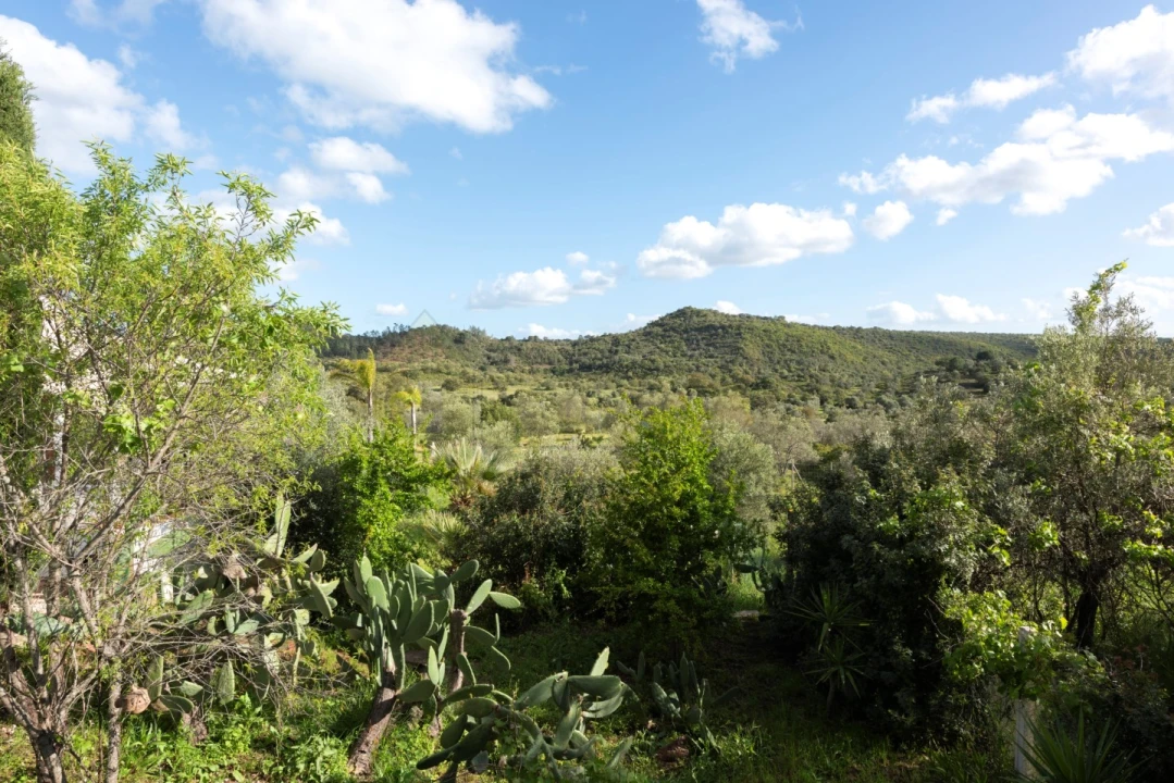 Moradia T4 para Venda em Salir Foto 42