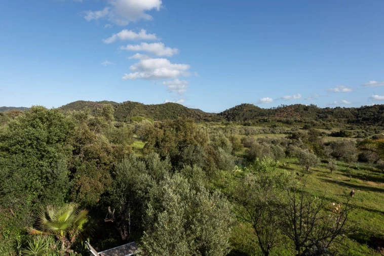 Moradia T4 para Venda em Salir Foto 41