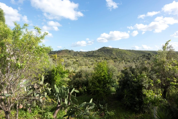 Moradia T4 para Venda em Salir Foto 42