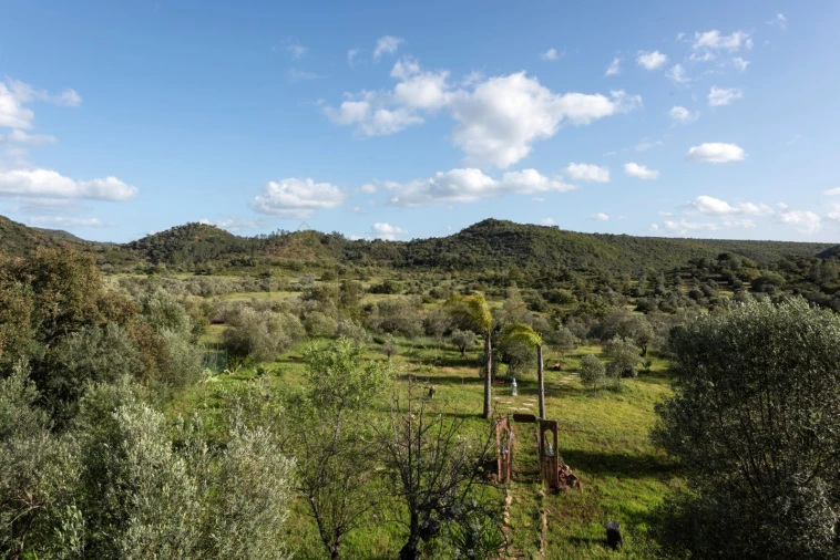 Moradia T4 para Venda em Salir Foto 43