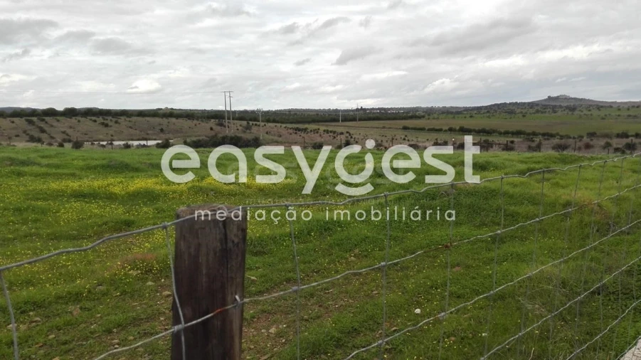 Terreno Agricola ou Rústico para Venda em Santana de Cambas Foto 2