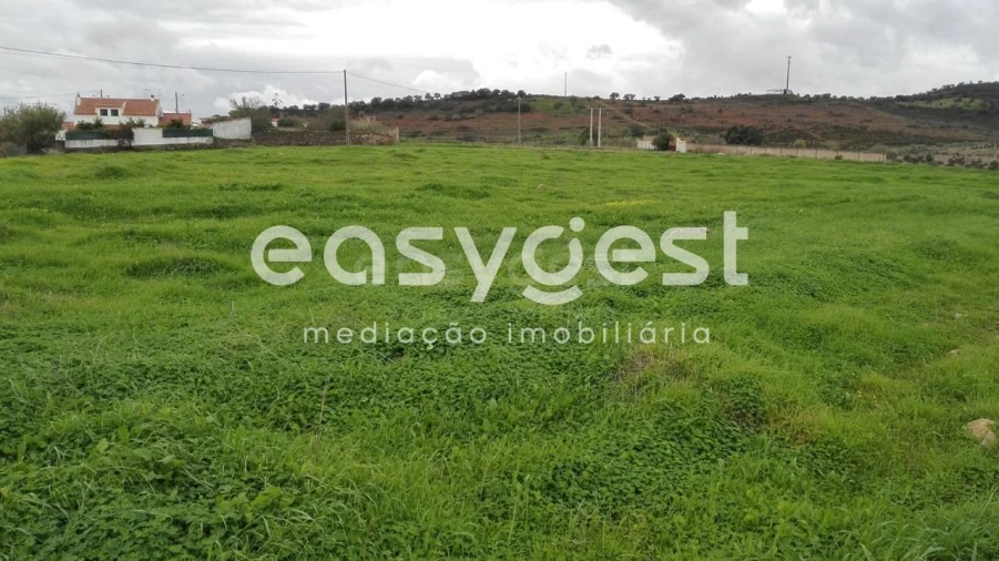 Terreno Agricola ou Rústico para Venda em Santana de Cambas Foto 3