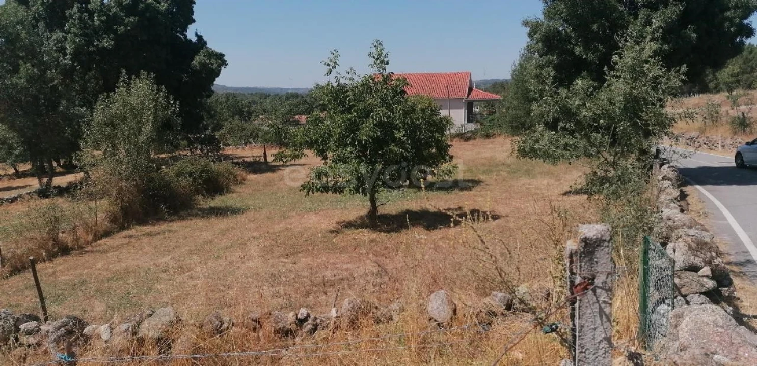 Terreno para Venda em Jarmelo São Miguel Foto 4