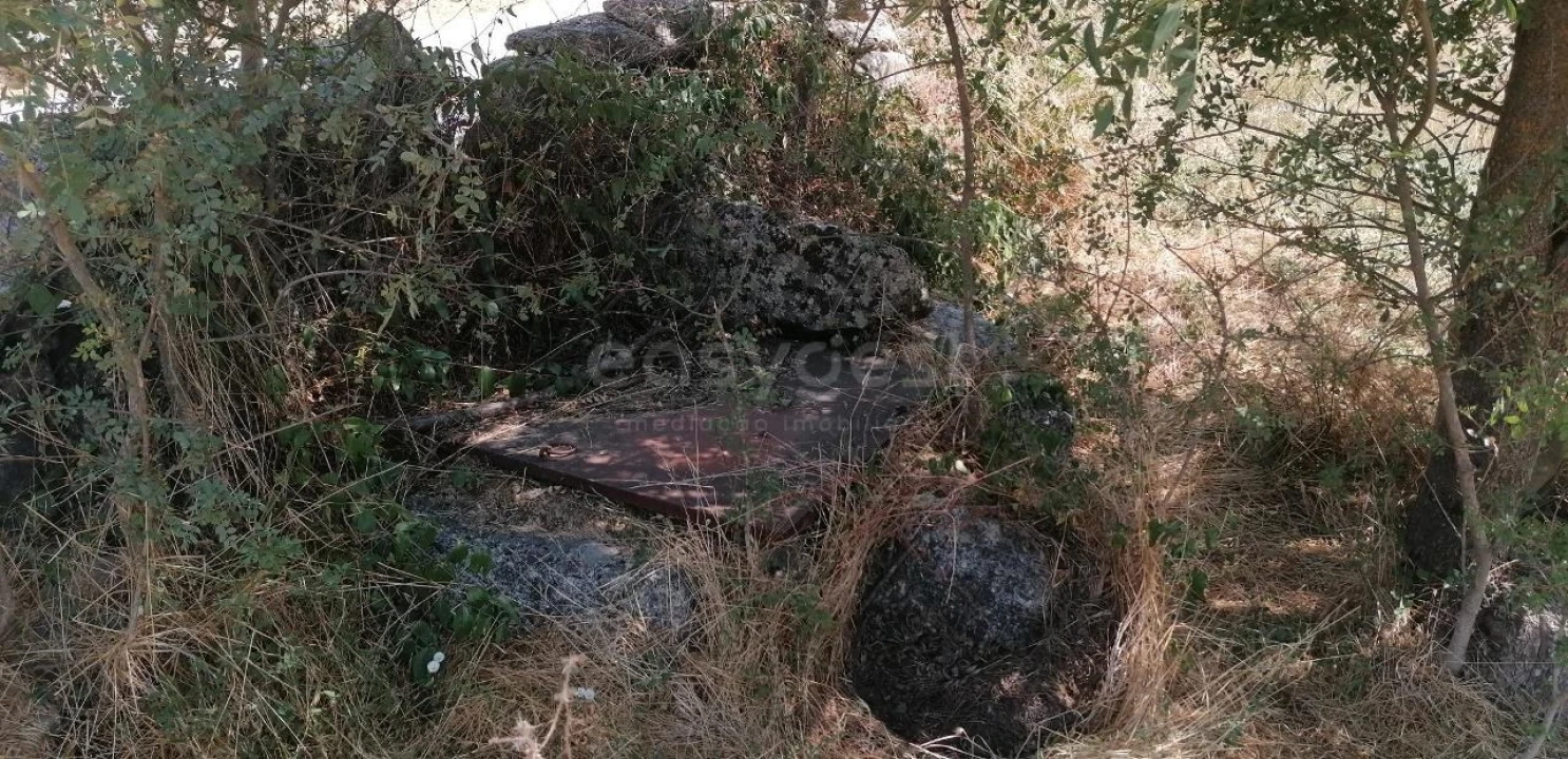 Terreno para Venda em Jarmelo São Miguel Foto 10