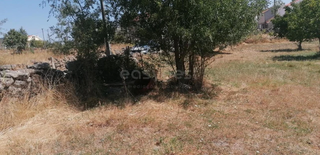 Terreno para Venda em Jarmelo São Miguel Foto 9