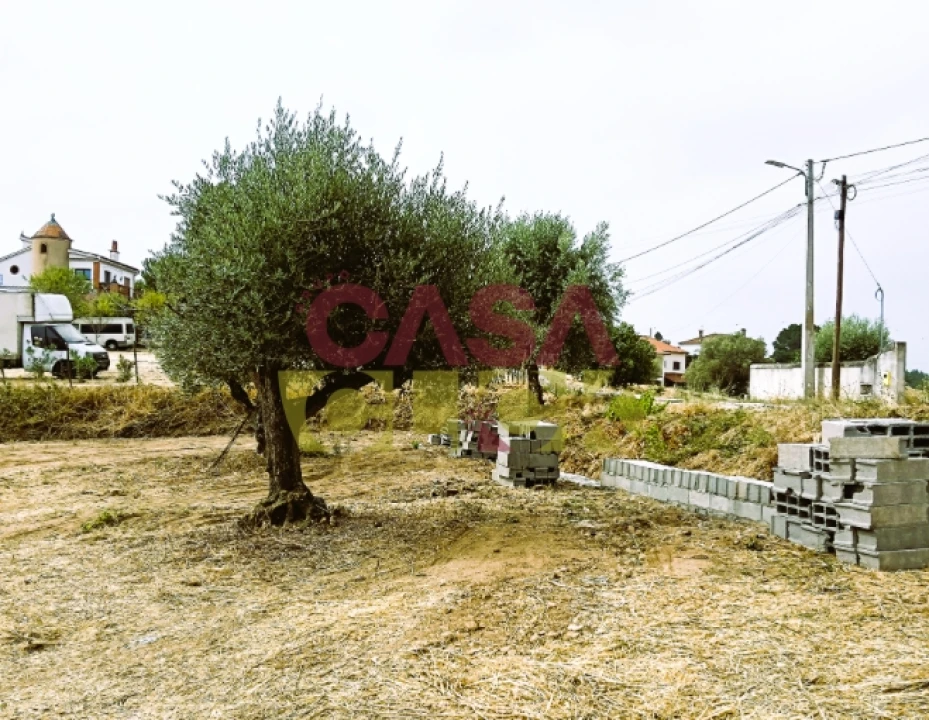 Terreno para Venda em São Pedro de Tomar Foto 6
