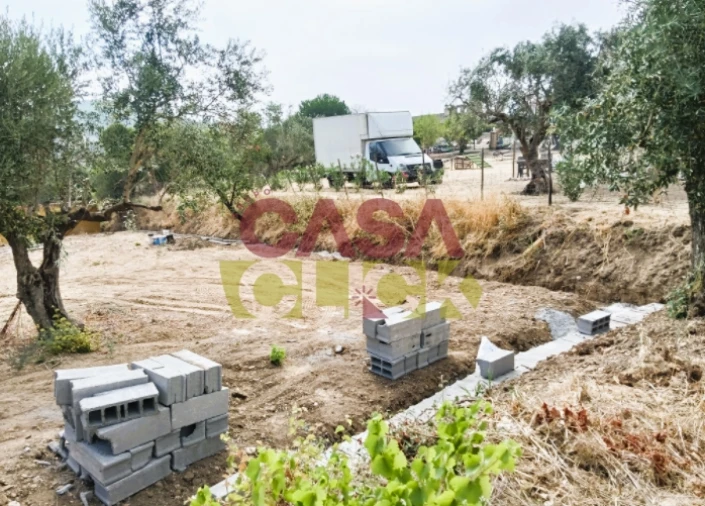 Terreno para Venda em São Pedro de Tomar Foto 9