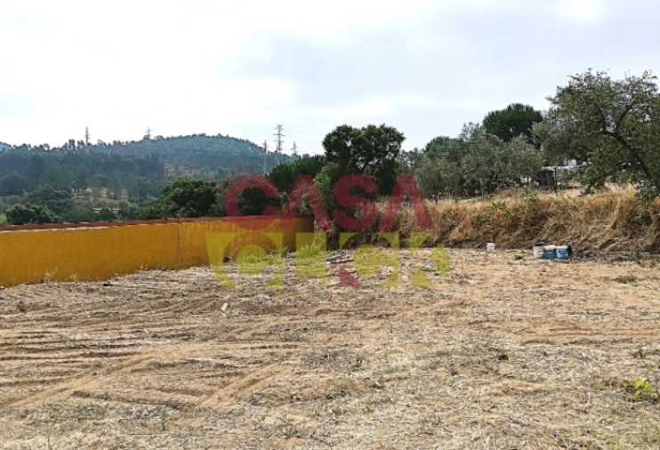 Terreno para Venda em São Pedro de Tomar Foto 13