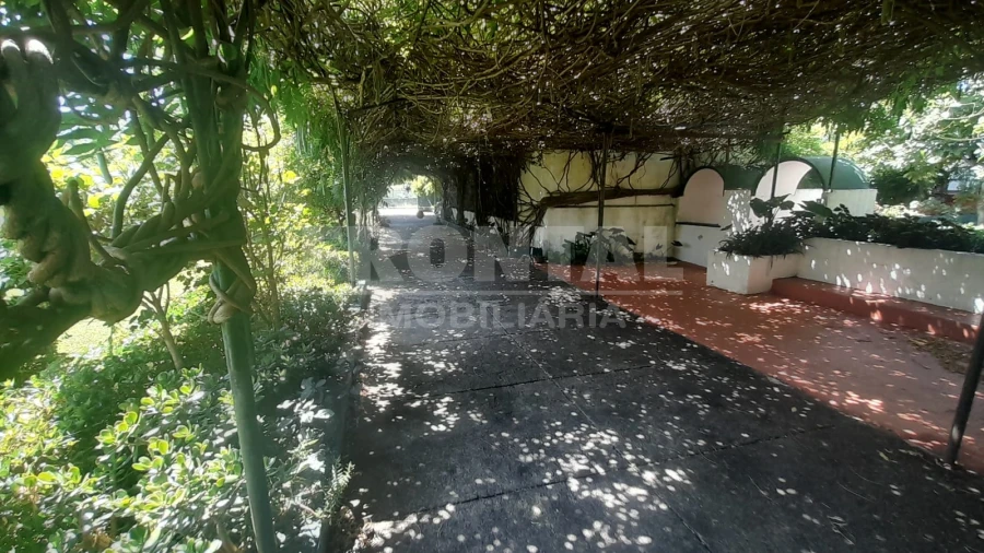 Negócio para Venda em Caminha (Matriz) e Vilarelho Foto 35